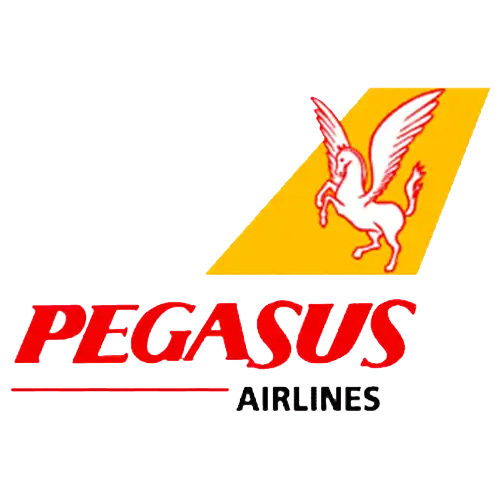 pegasus